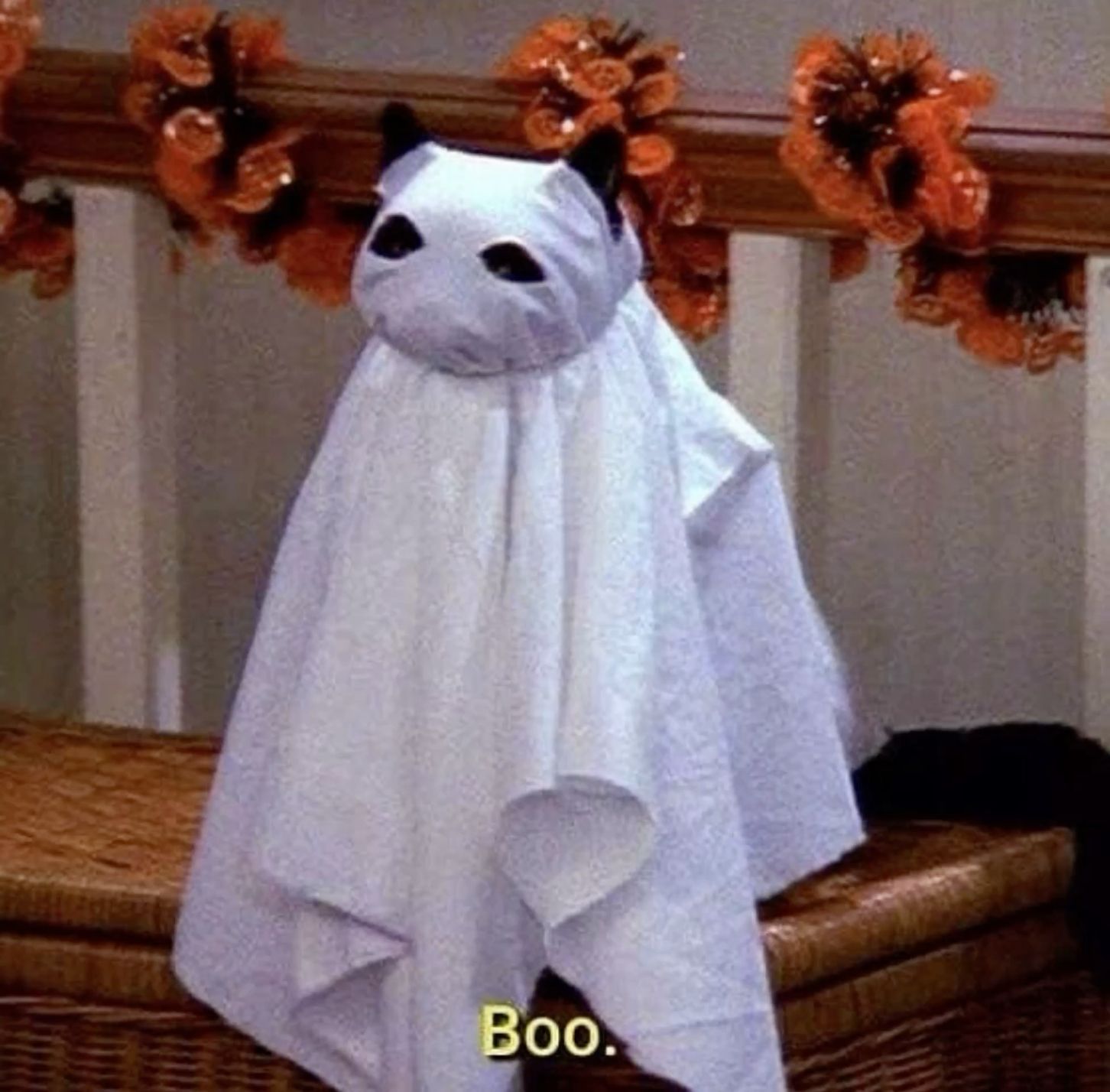 halloween aesthetic 0042