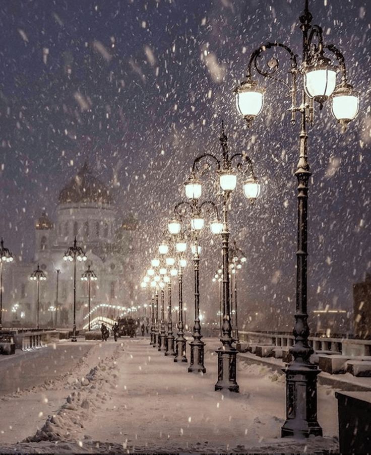 stunning cute christmas pictures for wallpapers