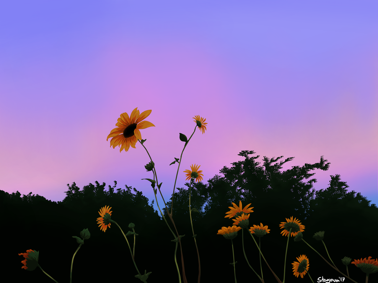 sunset aesthetic wallpaper 0091