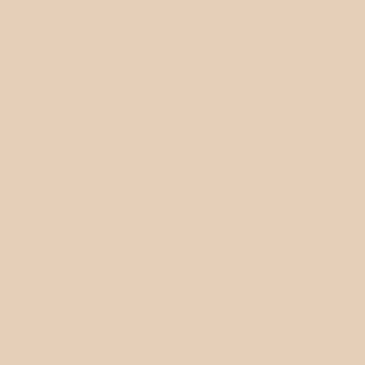 tan aesthetic wallpaper 0072