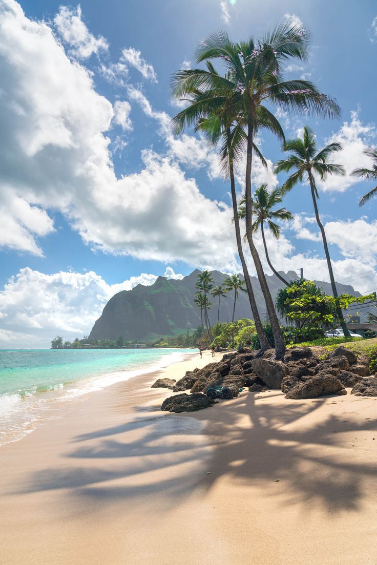 tropical aesthetic beach wallpapers 0042