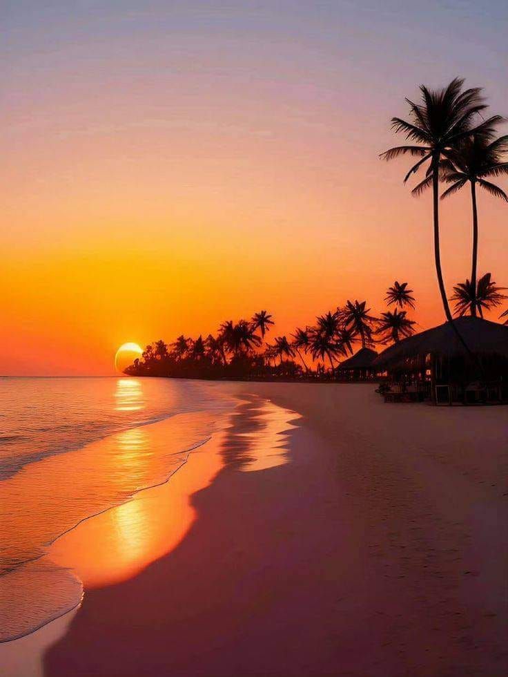 tropical aesthetic beach wallpapers 0045