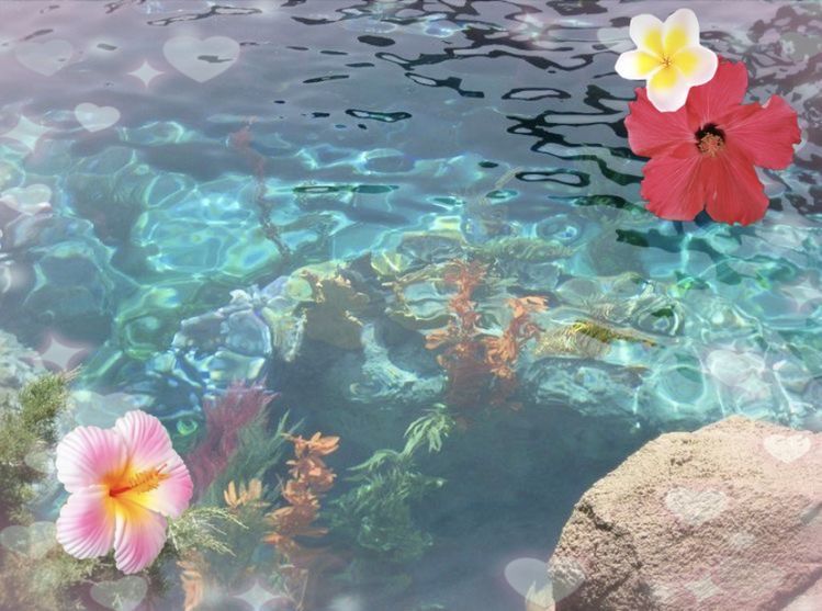 tropical aesthetic beach wallpapers 0094