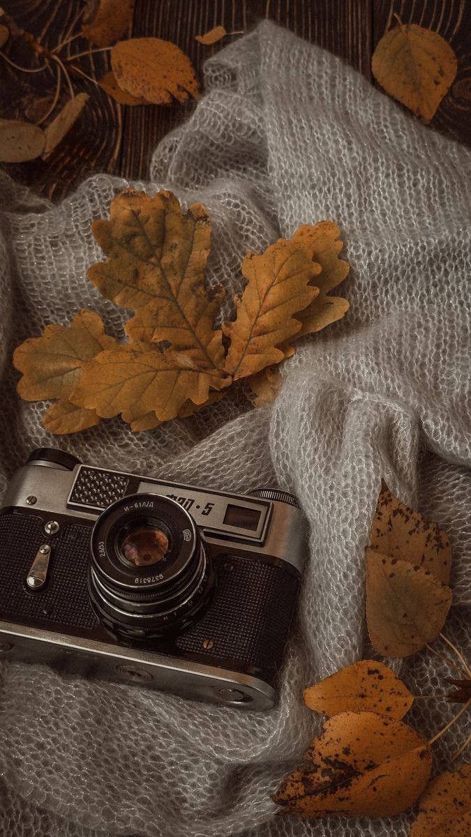 vintage aesthetic fall wallpaper 0076