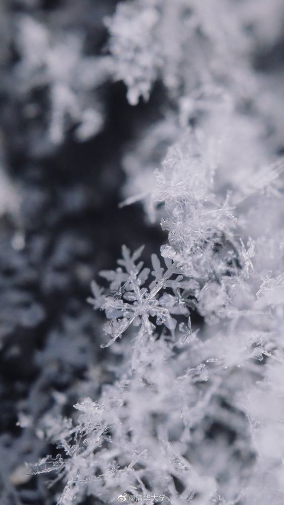 vintage winter aesthetic wallpaper