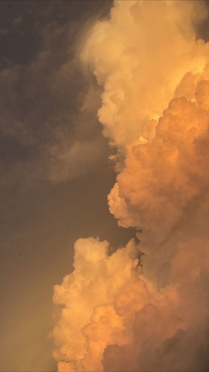 wallpaper for phone aesthetic 0060