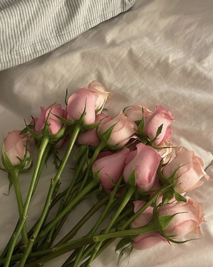 white roses aesthetic 0062