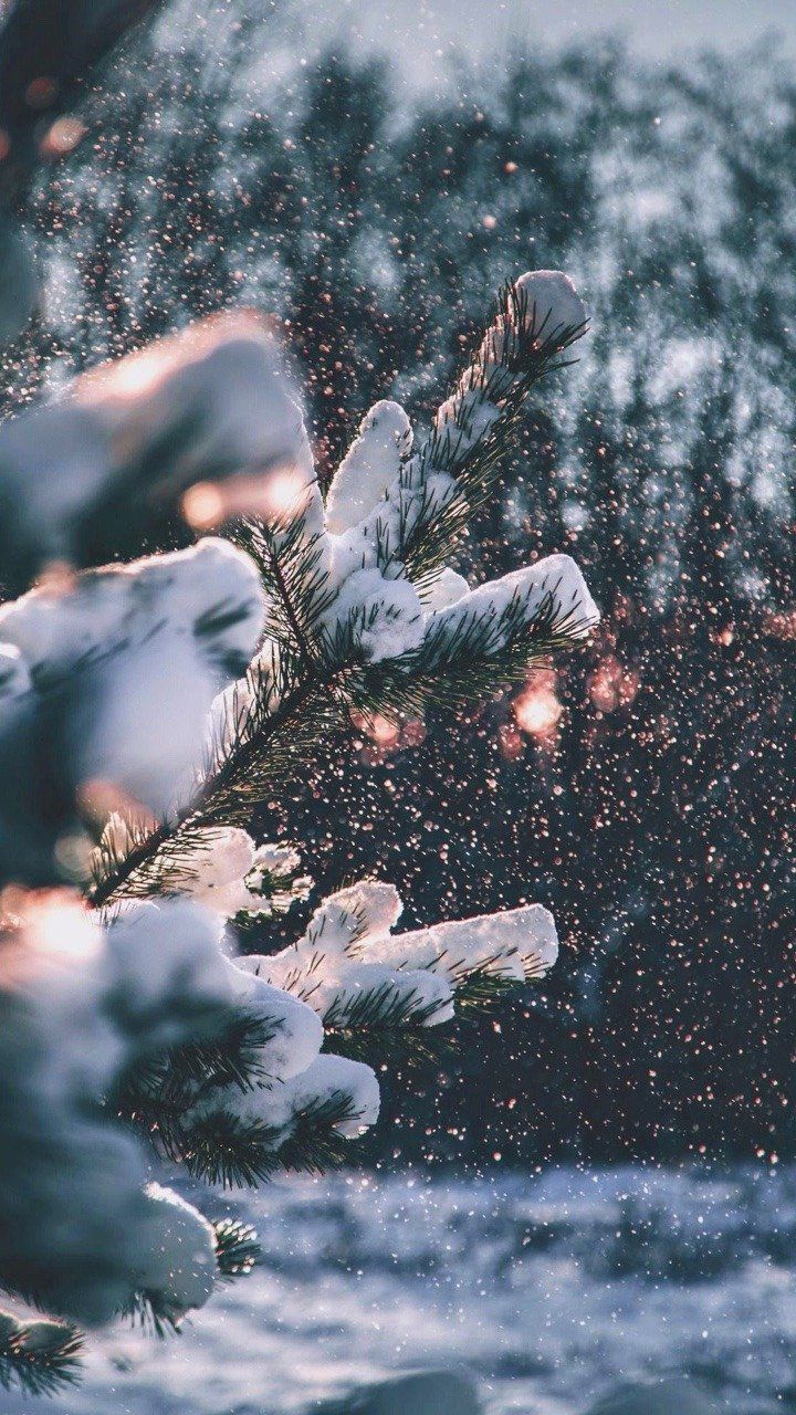winter aesthetic wallpaper 0040