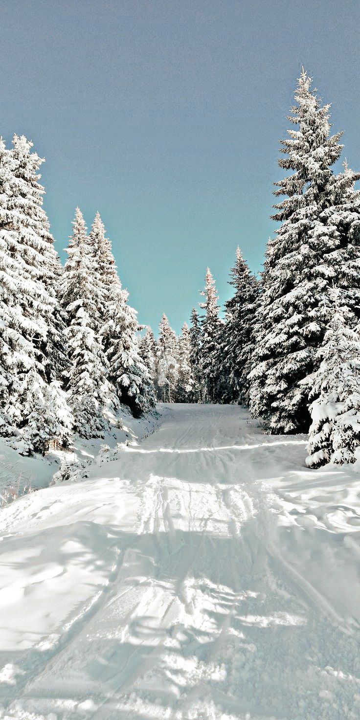 winter aesthetic wallpaper 0048
