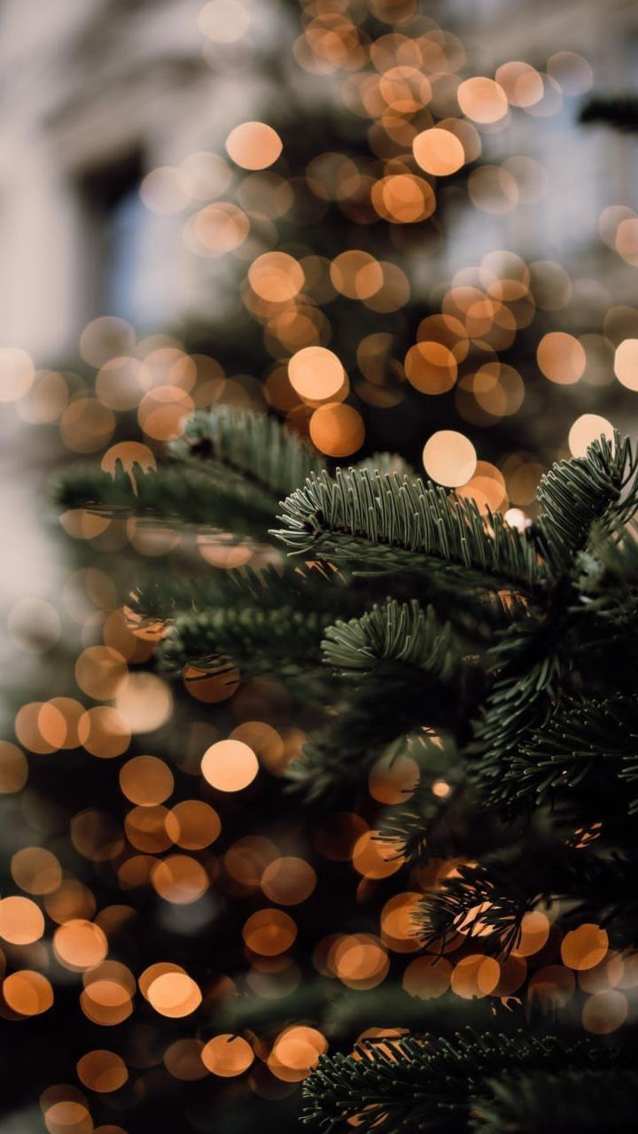 winter aesthetic wallpaper 0057