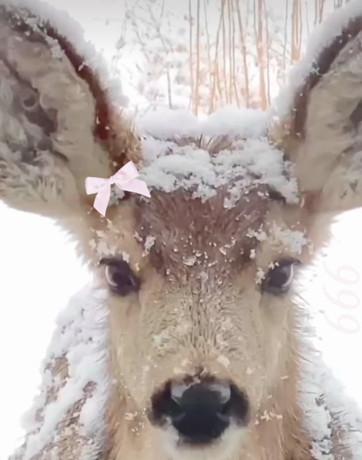 winter aesthetic wallpaper 0059
