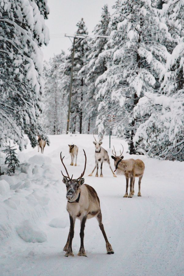 winter aesthetic wallpaper 0065