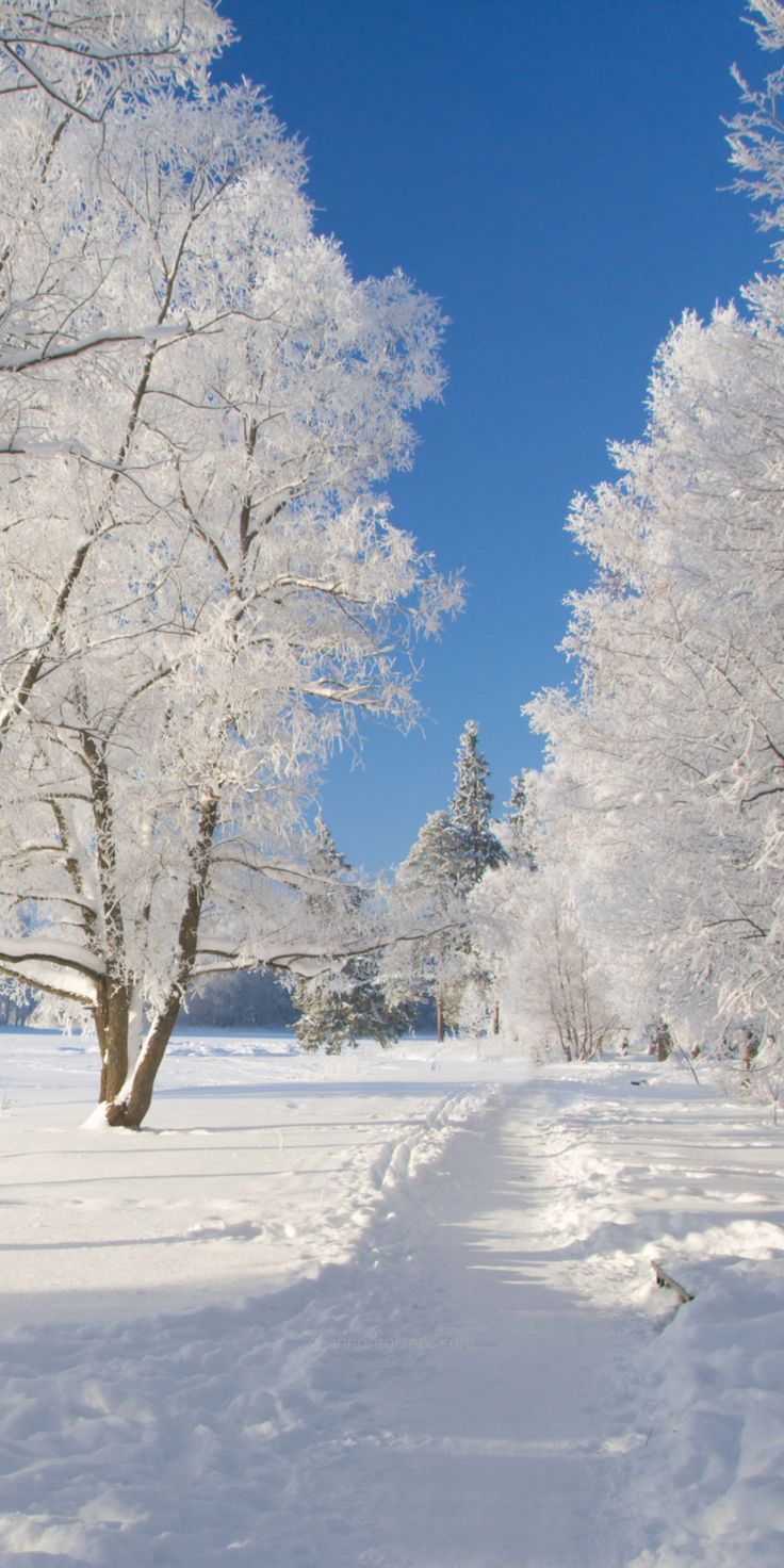 winter aesthetic wallpaper 0067