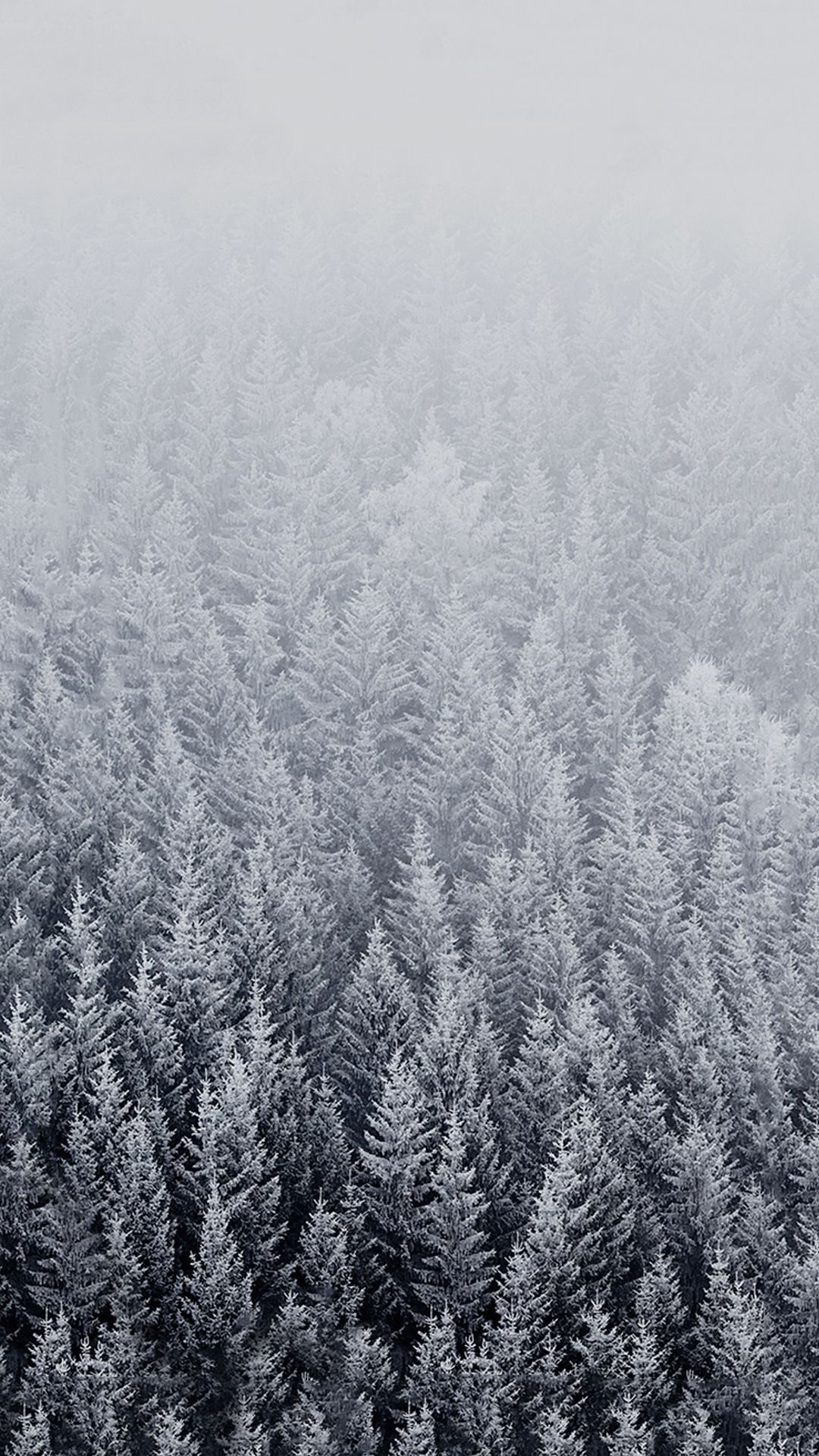 winter aesthetic wallpaper 0070