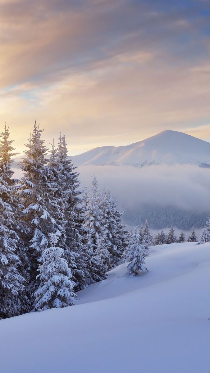 winter aesthetic wallpaper 0075
