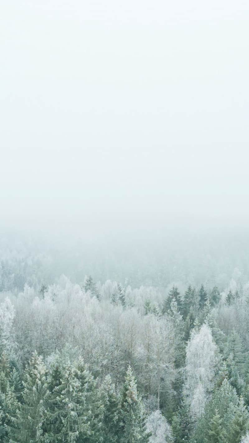 winter aesthetic wallpaper 0081