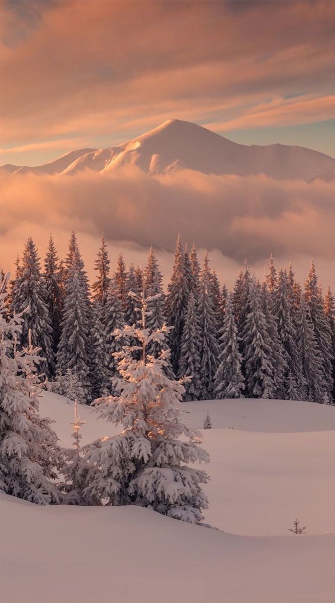 winter aesthetic wallpaper 0083