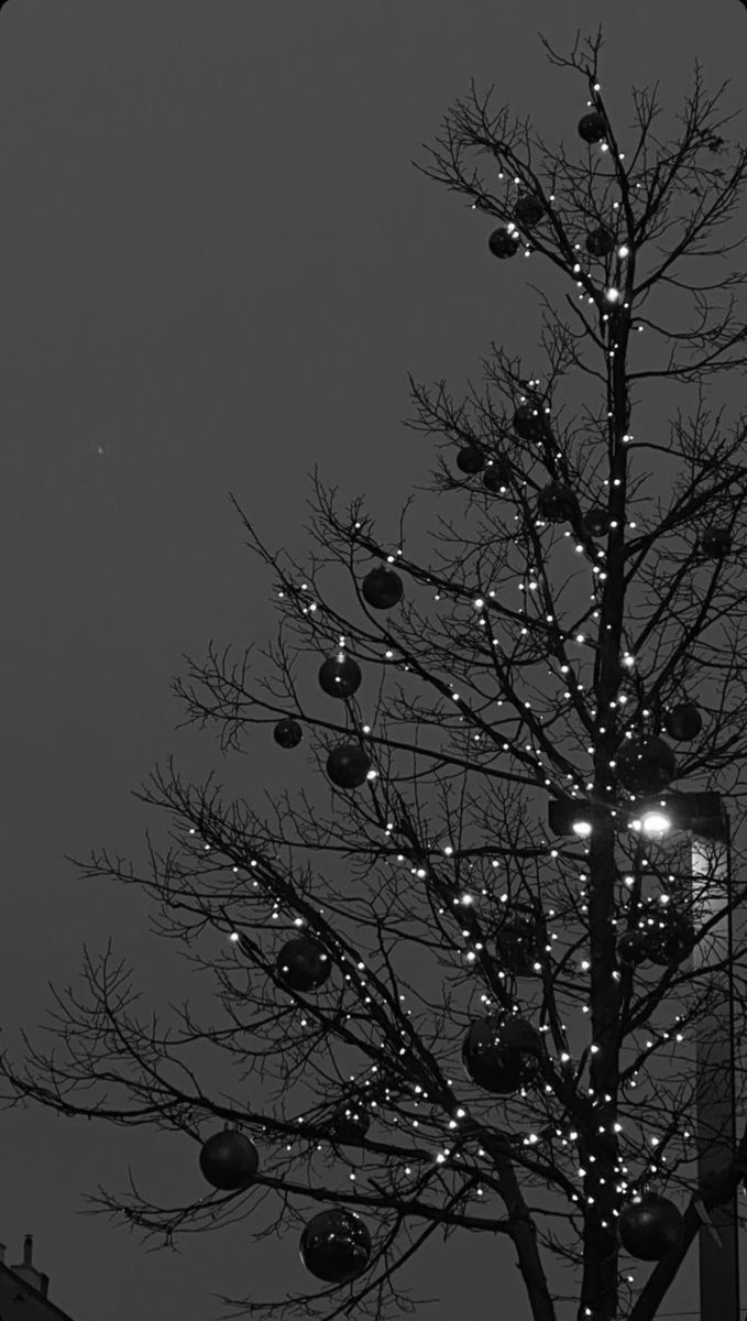 winter aesthetic wallpaper 0085