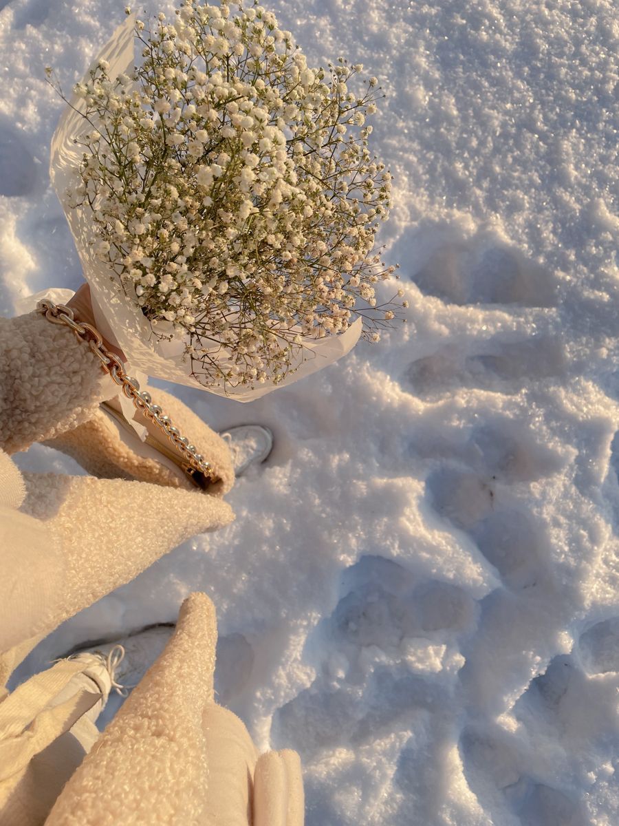 winter aesthetic wallpaper 0087