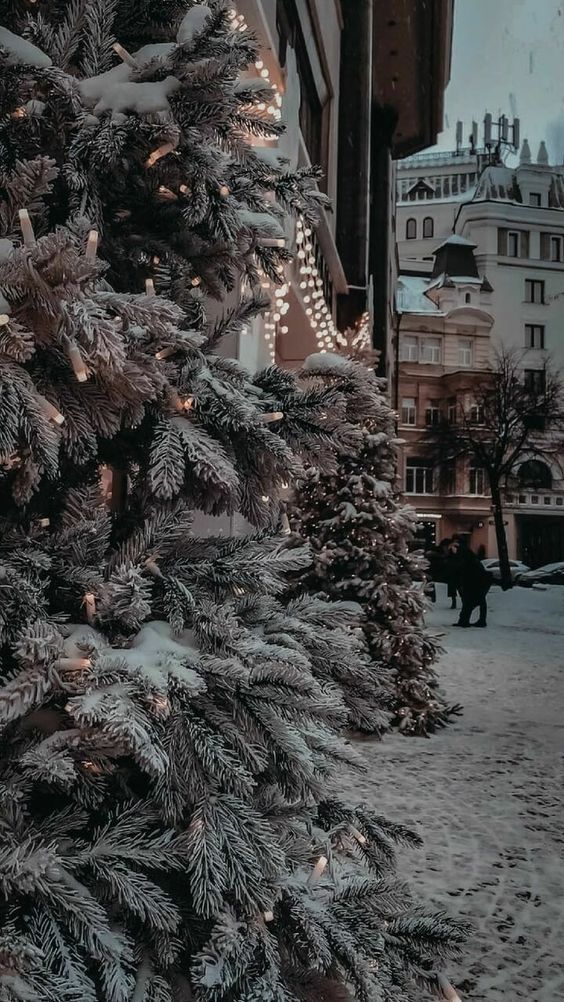 winter aesthetic wallpaper 0093