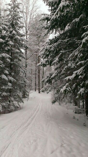 winter aesthetic wallpaper 0094