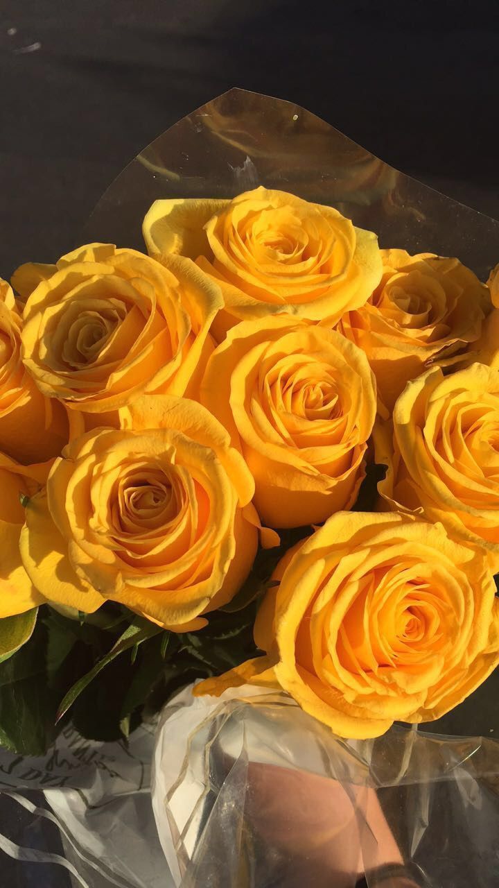 yellow aesthetic 0034